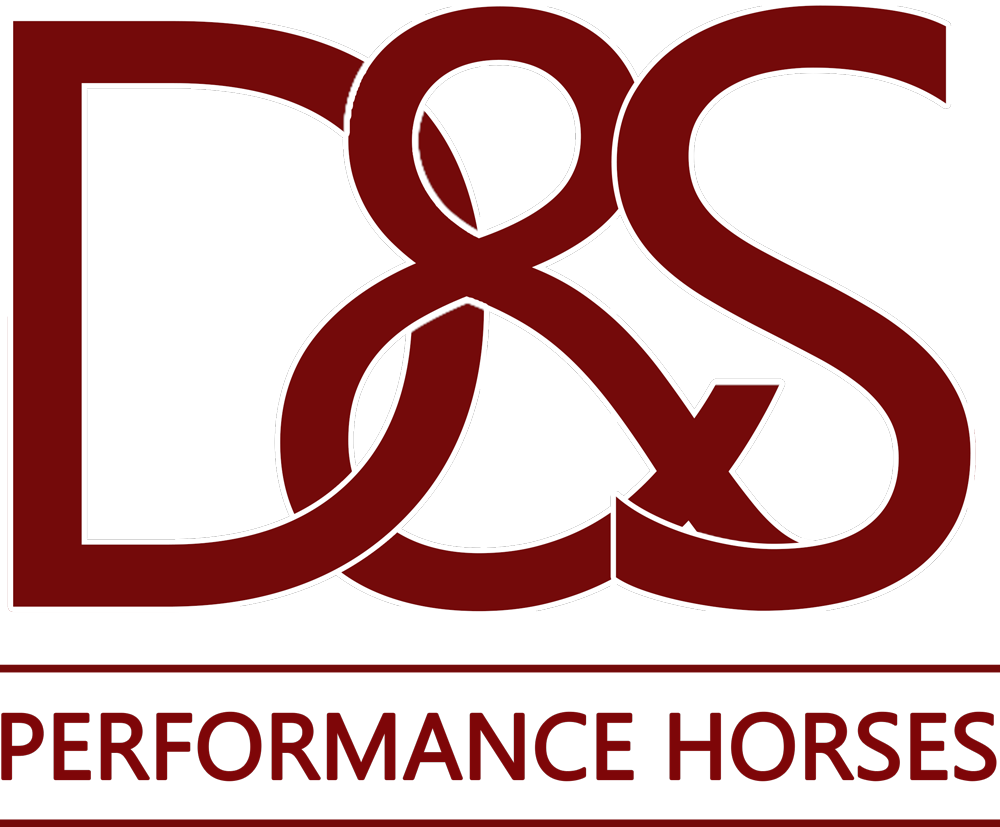 D&S Performance Horses